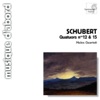 Melos Quartett - String Quartet No. 15 in G Major, Op. 161, D. 887: IV. Allegro Assai