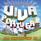 Baile de Verão artwork