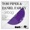Vision Of Paradise (Riva Starr Extended Remix) by Bob Sinclar