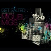 Get Salted Volume 2 Mixed By Miguel Migs, 2009