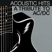 Acoustic Hits - A Tribute To AC/DC - Lacey & Sara