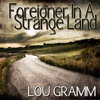 Foreigner In a Strange Land