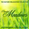 The Nature Relaxation Collection - Peaceful Meadows / Soothing Music and Nature Sounds album lyrics, reviews, download
