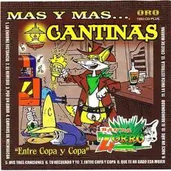 Mas y Mas Cantinas - Entre Copa y Copa - Banda Zorro