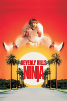 Dennis Dugan - Beverly Hills Ninja artwork