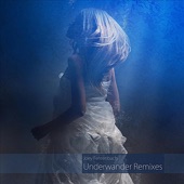 Underwander (Tripswitch Remix) artwork