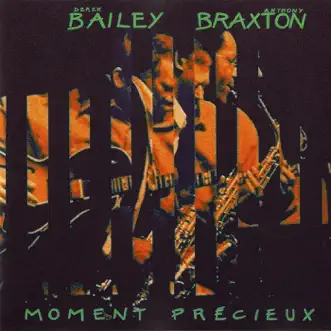 Moment Précieux by Derek Bailey & Anthony Braxton album reviews, ratings, credits