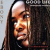 Good Life (Everybody Wants It), 2008
