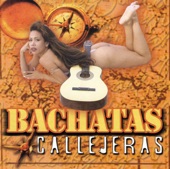 Bachatas Callejeras, 1995