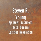 Kjv New Testament -Book of Acts - General Epistles-Revelation artwork