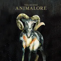 Animalore by Via Audio album reviews, ratings, credits