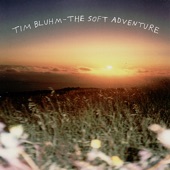 Tim Bluhm - The Only Solution