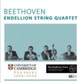 Beethoven: Complete String Quartets, Quintets & Fragments artwork