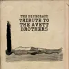 The Bluegrass Tribute to The Avett Brothers album lyrics, reviews, download