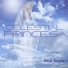 Celestial Princesa, 2008