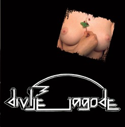 Divlje Jagode - Jedina Moja