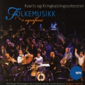 Folkemusikk I Symfoni artwork