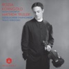 Dusseldorf Symphony Orchestra, Matthew Trusler & Yasuo Shinozaki - Violin Concerto In D Major, Op. 35: II. Romanze: Andante