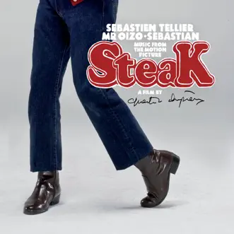 Skatesteak by Sebastien Tellier & Mr. Oizo-Sebastian song reviws