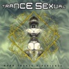 Trance Sexual - a Hard Trance X-Perience, 2006