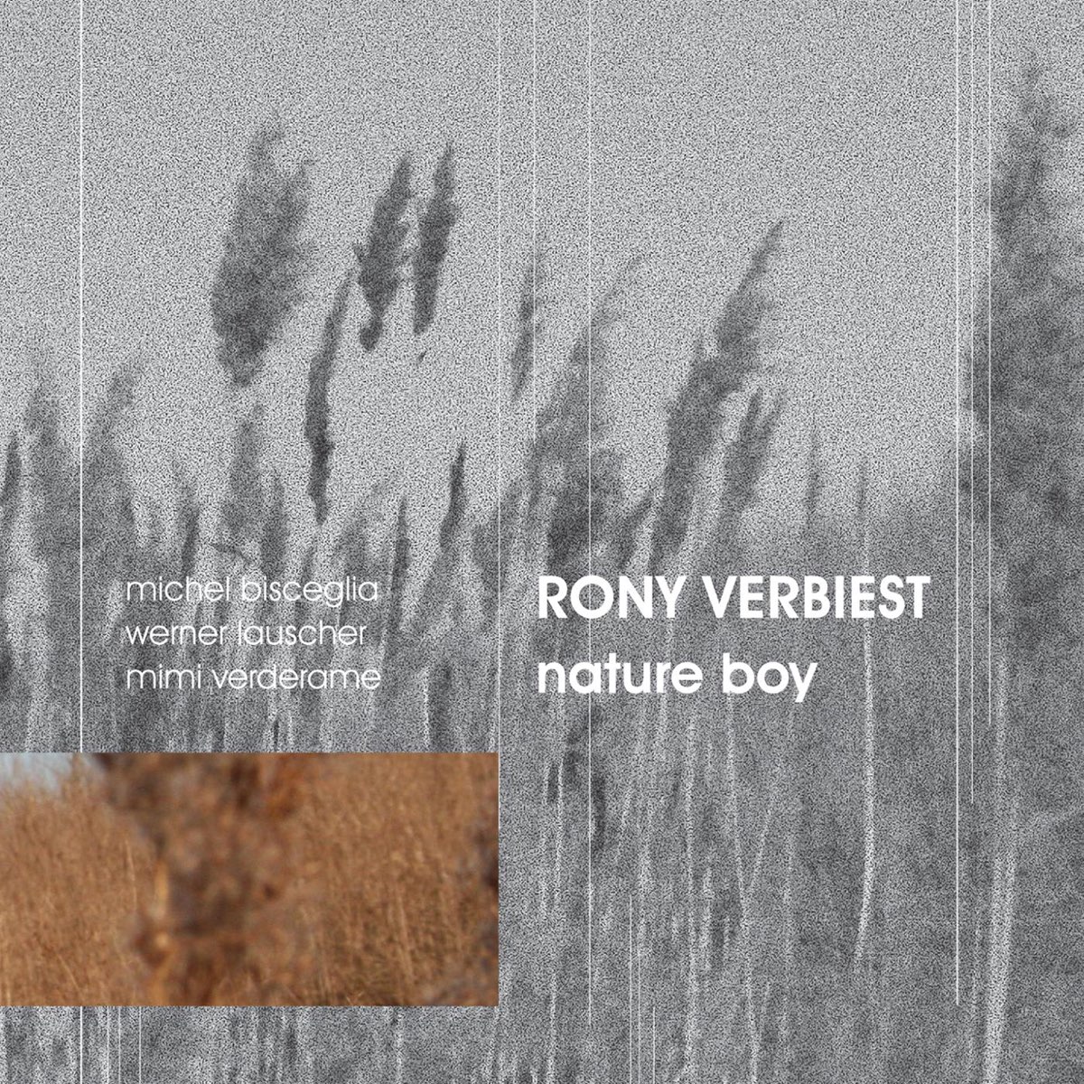 Nature boy текст