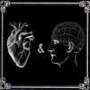 The Love & the Mystery