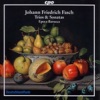 Epoca Barocca - Violin Quartet In F Major: III. Largo