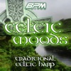 Celtic Moods