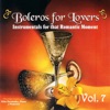Boleros for Lovers, Vol. 7