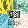 The Wallflowers