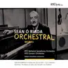 Stream & download Ó Riada: Orchestral Works