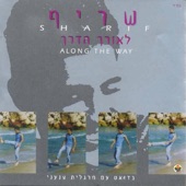 LeOrech HaDerech (לאורך הדרך) artwork