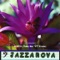 Jazzanova artwork