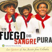 Un Fuego de Sangre Pura: Los Gaiteros de San Jacinto from Colombia artwork