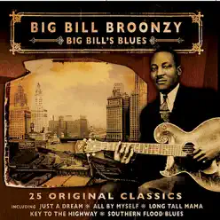 Big Bill's Blues - 25 Original Classics - Big Bill Broonzy