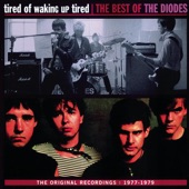 The Diodes - Tired Of Waking Up Tired (Album Version)