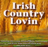 Irish Country Lovin', 2006