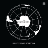 Salute Your Solution artwork