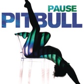 Pause artwork