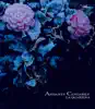 Andante Cantabile ~for 4 Cellos~ album lyrics, reviews, download