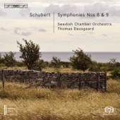 Symphony No. 8 in B minor, D. 759, "Unfinished" : I. Allegro moderato artwork