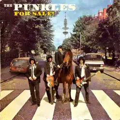 For Sale - The Punkles