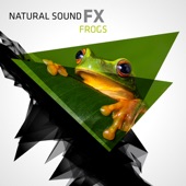 Natural Sound FX: Frogs artwork