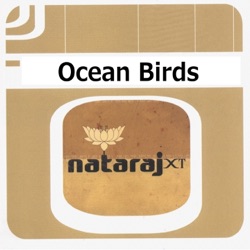 Nataraj XT - Space In