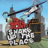Shake Up The Place (10 Ft. Ganja Plant) artwork