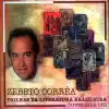 Zebeto Corrêa