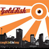 Caught In the Loop - GoldFish