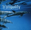 Tranquility