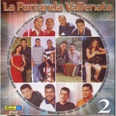 Parranda Vallenata de Colombia artwork