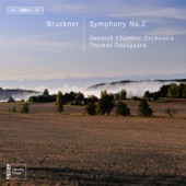 Bruckner: Symphony No. 2 artwork